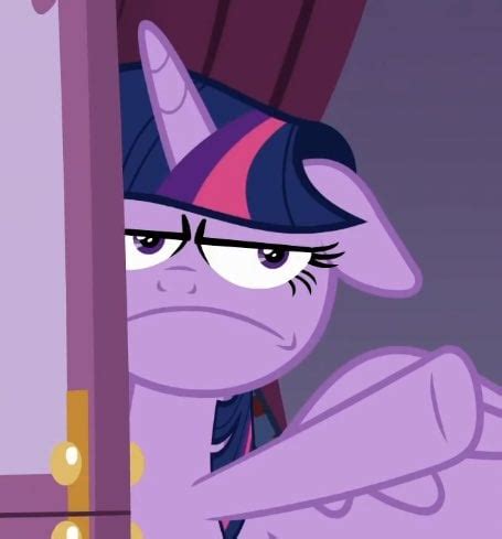 What opinion that make Twilight this. : r/mylittlepony