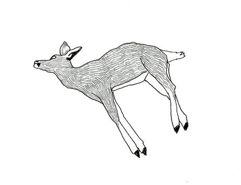 Dead Animal Drawing at GetDrawings | Free download