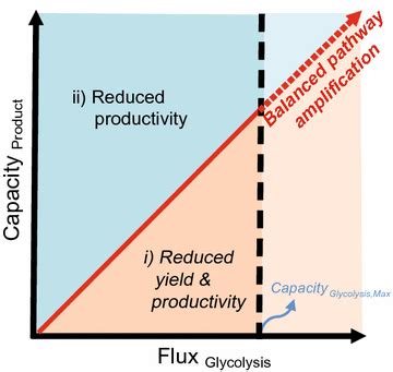 A simple method to control glycolytic flux for the design of an optimal ...