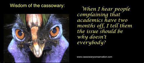 Quotas casuarius | Cassowary, Animals