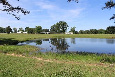 152 Acres of Land with Home for Sale in Annona, Texas - LandSearch