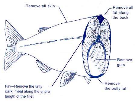 PCBs in Fish and Shellfish | OEHHA