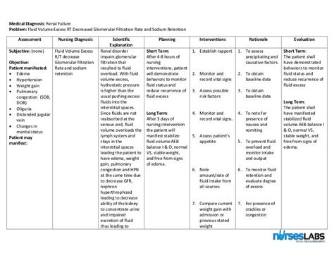 134398619 1-fluid-volume-excess-chronic-renal-failure-nursing-care-pl…