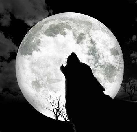 My Local Werewolf - The Legend of the Welsh Werewolf - Mystery Files | HubPages