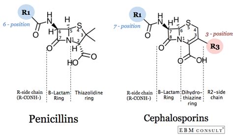 Safety Of Cephalosporins If Allergic To Penicillin, 58% OFF