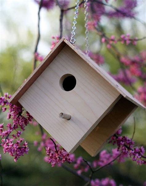 40 Beautiful Bird House Designs You Will Fall In Love With - Bored Art