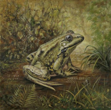 frog Painting by Marina Radius | Saatchi Art