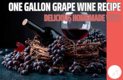 Delicious One Gallon Grape Wine Recipe