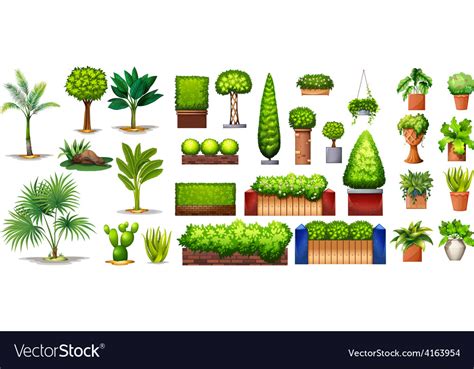 Different species of plants Royalty Free Vector Image