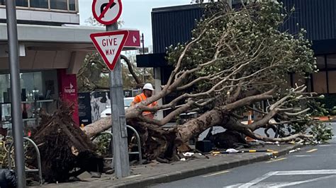 Clean-up Efforts Begin After Cyclone Gabrielle Slams into New Zealand