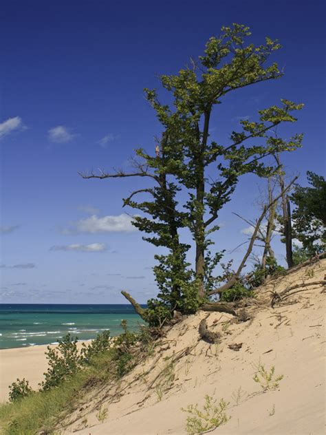 Indiana Dunes State Park, an Indiana park located near Chesterton, Gary ...