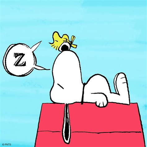 Sleeping Snoopy On Doghouse