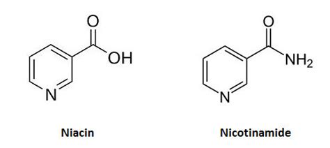 Vitamin B3 may have originally come from space, arrived via meteorites - ExtremeTech