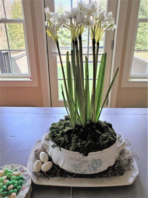 Daffodil Arrangements - Cloches & Lavender Daffodil Arrangements in 2021 | Daffodils arrangement ...