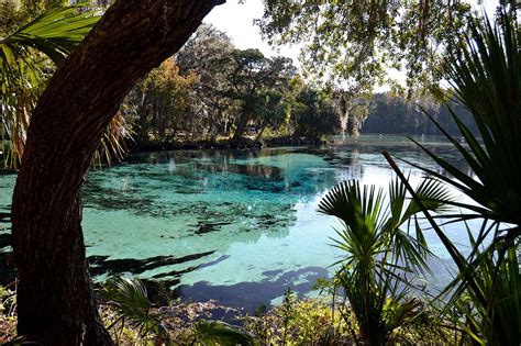 Hiking Silver Glen Springs Recreation Area | Hiking trail maps, Lake ...