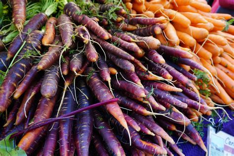 Why Carrots Are Orange (And 5 Non-Orange Carrots to Grow in Your Garden)