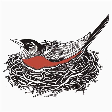 "Robin Redbreast in Her Nest Illustration" T-Shirts & Hoodies by ...