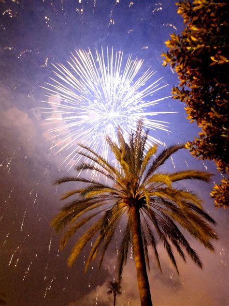 Palm tree. Fireworks. Valencia. Spain by photolover92 on DeviantArt