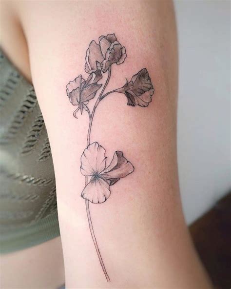 Top 57+ Best Sweet Pea Flower Tattoo Ideas - [2021 Inspiration Guide]