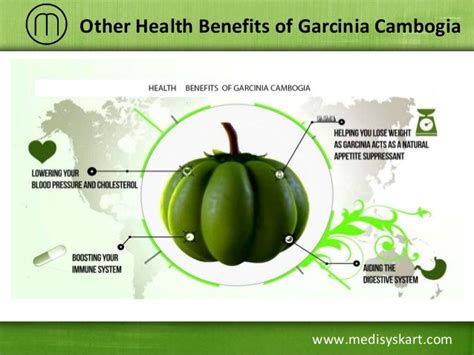 Health Benefits of Garcinia Cambogia Extract