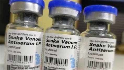 Snake Bite: Victims’ Survival Slimmer as Anti-Venom Prices Soar – Expert