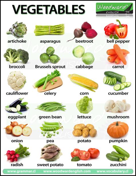 List Of Common Vegetables | The Garden