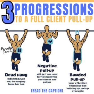 3 Progressions To A Full Pull Up - Anatomy and Physiology