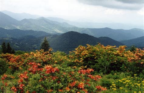 The Best Fall Foliage In North Carolina Road Trip Ever