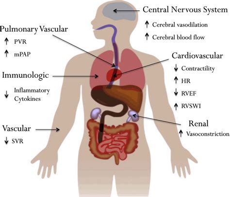 Permissive hypercapnia