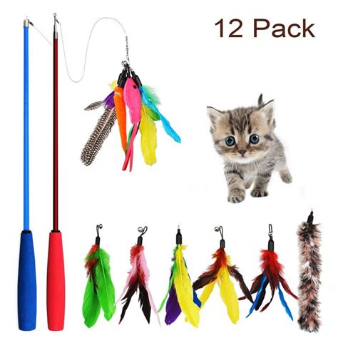 Weihao Cat Feather Toy, 12 pcs Retractable Cat Toys Interactive Cat ...