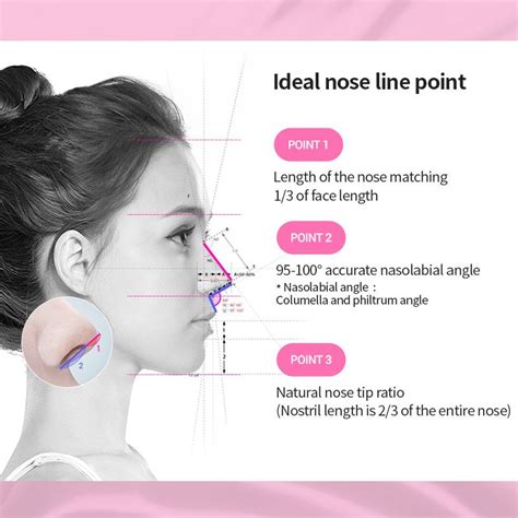 perfect nose proportions - Google Search in 2020 | Rhinoplasty nose jobs, Perfect nose, Nose ...