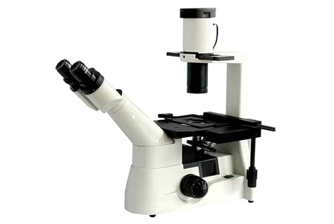 Inverted Professional Microscope