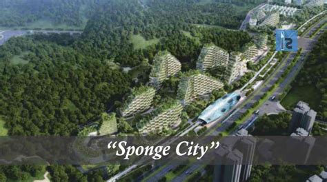 Sponge City: Back to Basics for Water Management