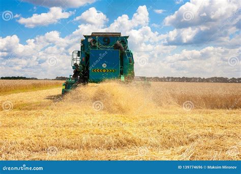 Harvester Machine To Harvest Wheat Field Working Stock Photo - Image of harvesting, cereal ...