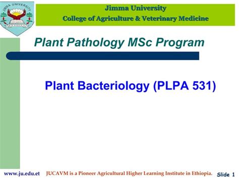 Plant Bacteriology.ppt