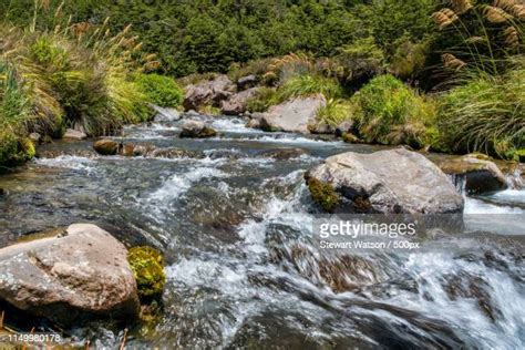 13 Whakapapa River Stock Photos, High-Res Pictures, and Images - Getty ...