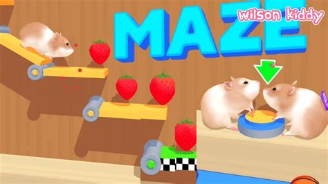 Hamster Menyelamatkan Temannya 🤣😂 | Hamster Maze | Game Wilson Kiddy ...