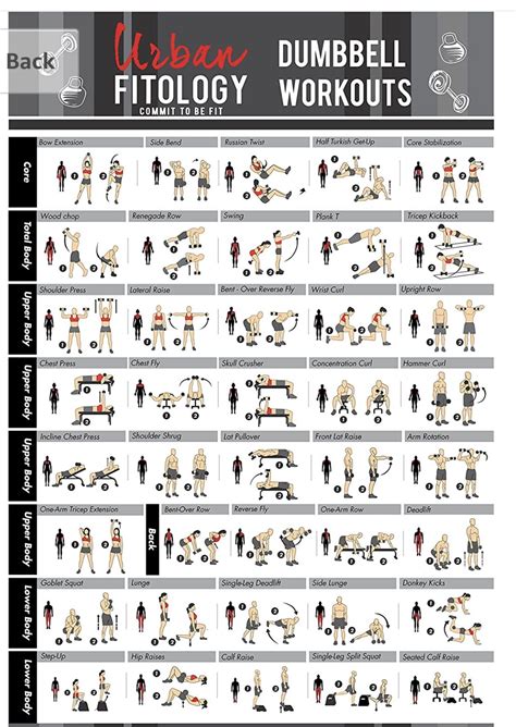 Full Body Dumbbell Workout Routine