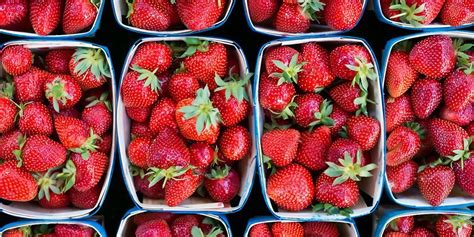 Strawberry Season: When are Strawberries in Season? – Foodtree