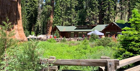 Historic Giant Forest Museum At Sequoia National Park - Inspired Imperfection