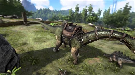 Ark survival evolved multiplayer - socialmediamokasin