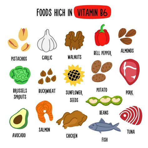 Foods High in vitamin B6. Vector illustration with healthy foods rich ...