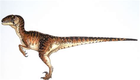 an image of a dinosaur that is in the air