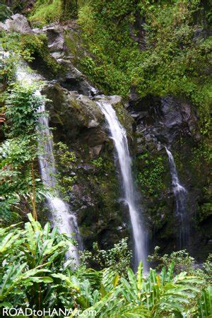 Hana Hawaii Waterfalls : Hawaii Woman Tourist Excited By Waterfall ...