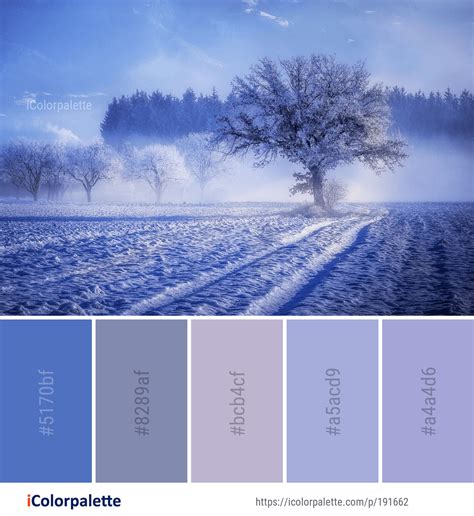 Color Palette ideas from 691 Winter Images | iColorpalette | Winter color palette, Forest color ...