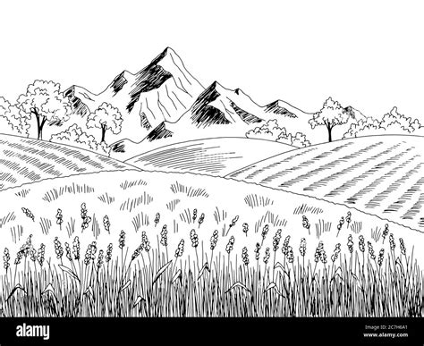 Field graphic black white landscape sketch illustration vector Stock ...