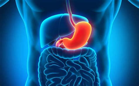 Symptoms, Treatment and Causes of Antral Gastritis ⋆ Beverly Hills Magazine