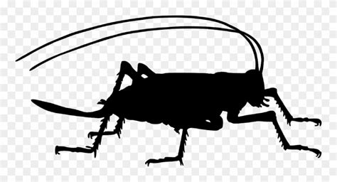 Cricket Farm - Insect Cricket Silhouette Clipart (#1052653) - PinClipart