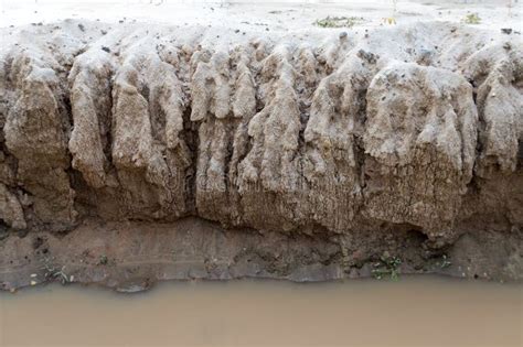 Soil Erosion. Formation of Gullies in a Field Due To Runoff of Rainwater Stock Image - Image of ...