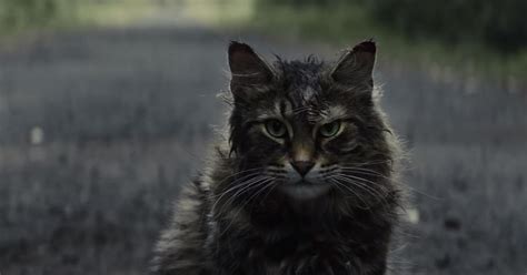 ‘Pet Sematary’ movie review: A passable adaptation of Stephen King’s bestseller